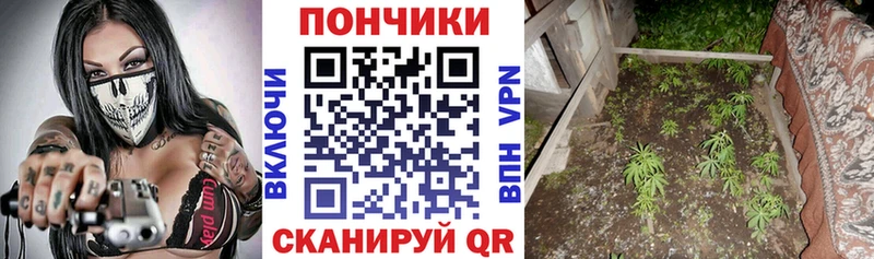 Канабис семена  Купить где  Аргун 